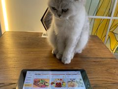 -猫小院猫主题餐厅(南锣旗舰店)