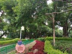 -古榕公园
