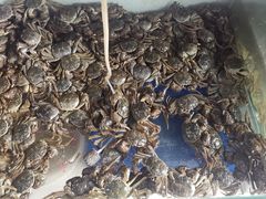 -阳澄湖大闸蟹·琼灵阁牌品牌连锁(吴中总店)