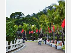 -野狸岛