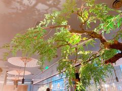 -绿茶餐厅(二七万达店)