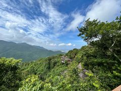 -三亚亚龙湾人间天堂鸟巢度假村