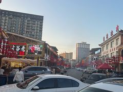-小桂林烧鸽子