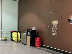 -麦当劳(北京大兴机场二层国内到达(安检外)店)