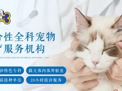 -康成宠物医院24H·CT·核磁共振