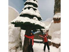 -哈尔滨热雪奇迹