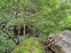-大岭沟猕猴桃谷风景区
