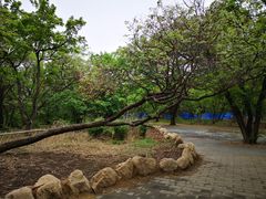 -长春市南湖公园