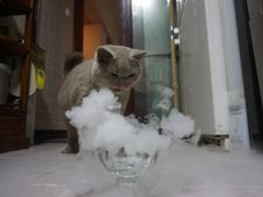 -歎雪糕低糖低脂Gelato冰淇淋