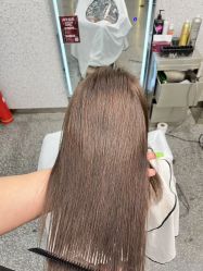-藤野造型