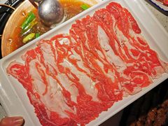 手切热气羊肉-京韵胡同·酱香羊蝎子火锅涮肉(长寿路店)