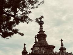 -眼镜粑粑
