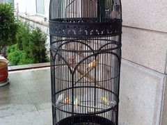 -老味道民宿(栈桥店)