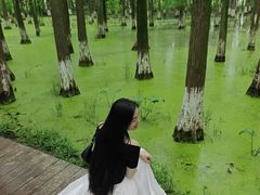-艾溪湖湿地公园