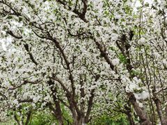 -元大都城垣遗址公园