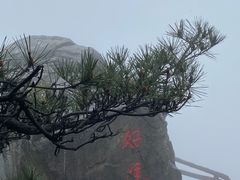 -庐山风景区花径公园