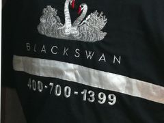 -BLACKSWAN黑天鹅(环球店)