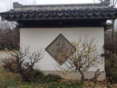 -无锡梅园公园