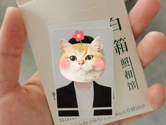 -白箱照相馆·外拍
