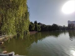 -莲湖公园