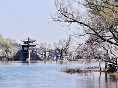 -颐和园