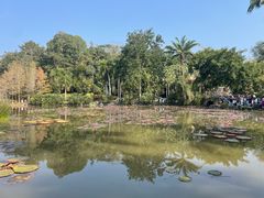 -中国科学院西双版纳热带植物园
