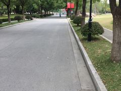 -昆山城市生态森林公园