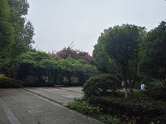 -成都市第一人民医院(南区)