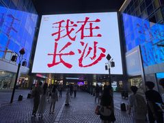 -黑色经典臭豆腐·湖南特产(步行街店)