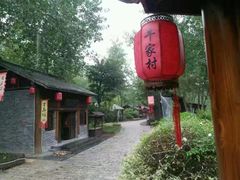 -合肥滨湖国家森林公园