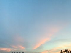 -more than meow吴止猫主题餐厅(承德 中船汇店)