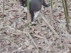 -浙江省博物馆(孤山馆区)