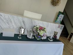 -YESIDO椰岛美容