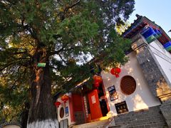 -抚仙湖禄充风景区