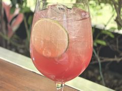康普茶-THE CANNERY&JUJU 新鲜海鲜·牛排美食酒廊