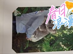 -可伦宾野生动物保护区