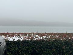 -水上明月·湖景餐厅