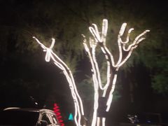 -枫花园汽车电影院(朝阳公园店)