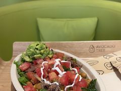 -油梨树 AVOCADO TREE(亮马桥店)