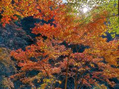 -藏龙百瀑风景区