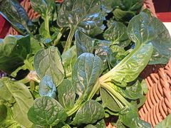 -老员外骨汤火锅(海州古城店)