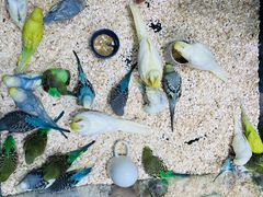 -三旗百汇商品城