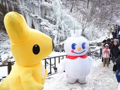 -少华山国家森林公园