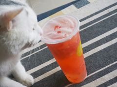 -树夏(建设路店)