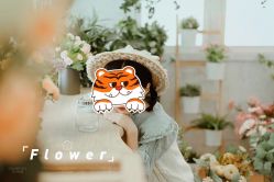 -花开映像儿童摄影
