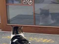 -张忠礼全羊汤手把肉(福祥家园店)