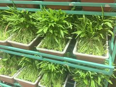 -天和晟烤鸭店(玉泉西街店)