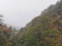 -罗田天堂寨风景区