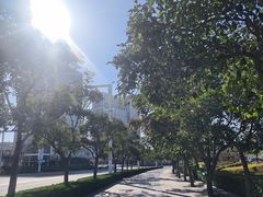 -洛阳面馆(红专路店)