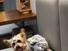 -Line 咖啡(石厦花园店)